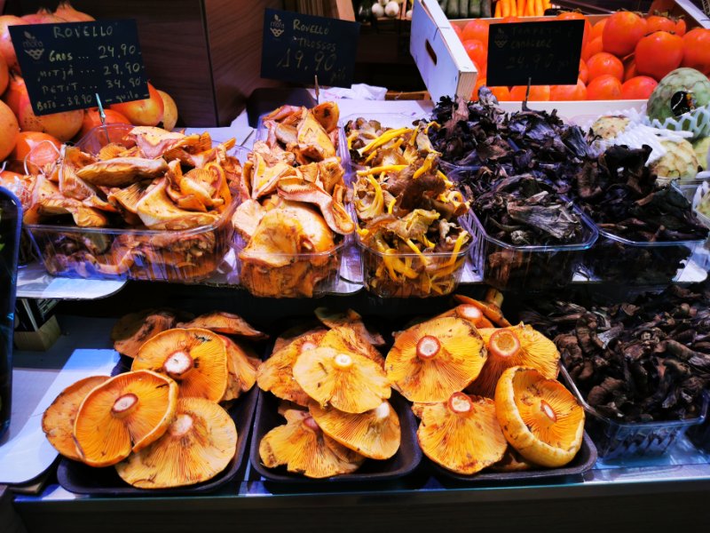 A Selection of Mushrooms at a Market in Barcelona