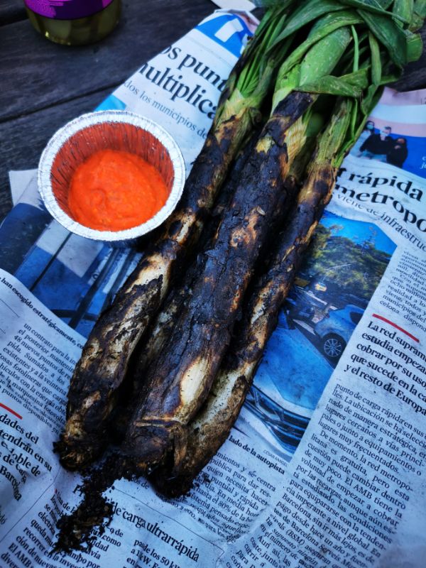 Grilled Calcots with Romesco Sauce
