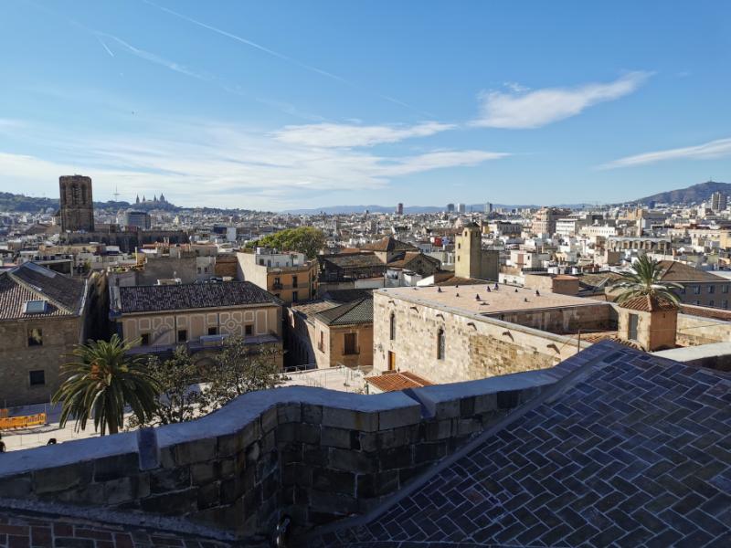 The View from the Rooftop of the Gothic Cathedral