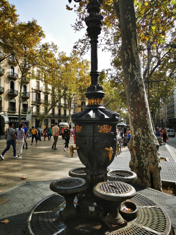 the Font de Canaletes at the top of La Rambla