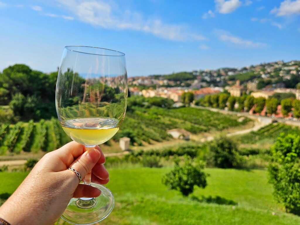 Alella Wine Tasting at Bouquet d Alella Winery near Barcelona