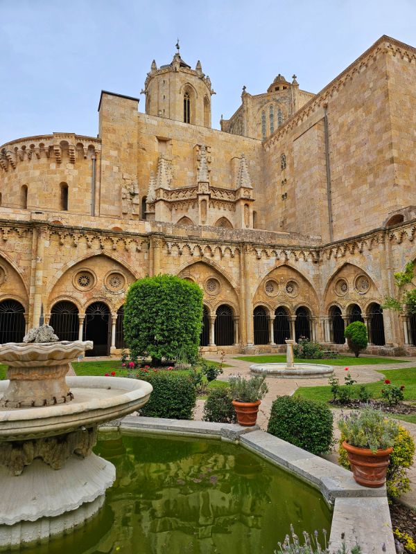 In the Cloister Gardens of Tarragona Cathedral