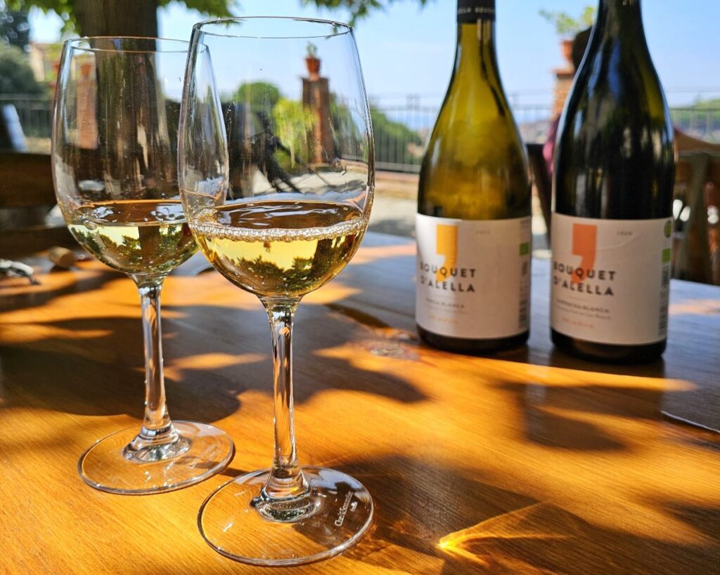 Two Glasses of White Wine at Bouquet d Alella Winery - Wine Tasting in Barcelona