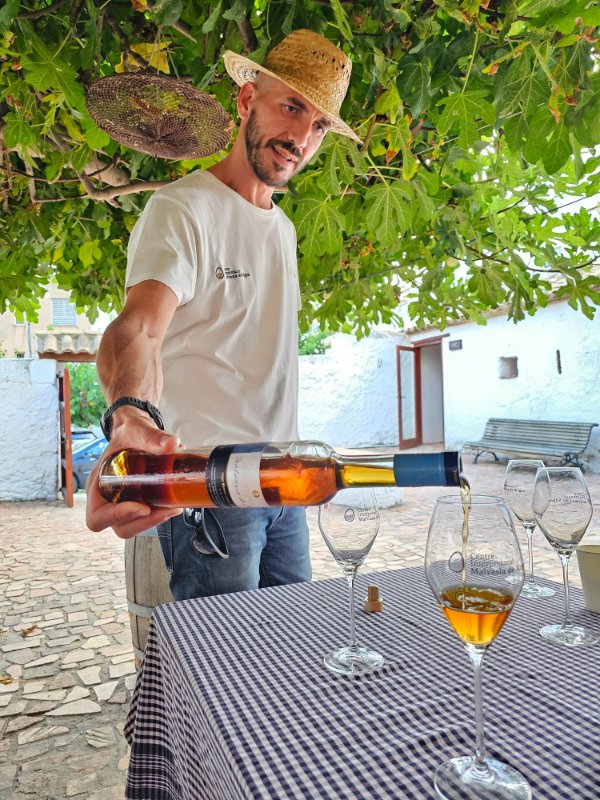 Tasting Malvasia Wine at The Centre d Interpretacio de la Malvasia de Sitges