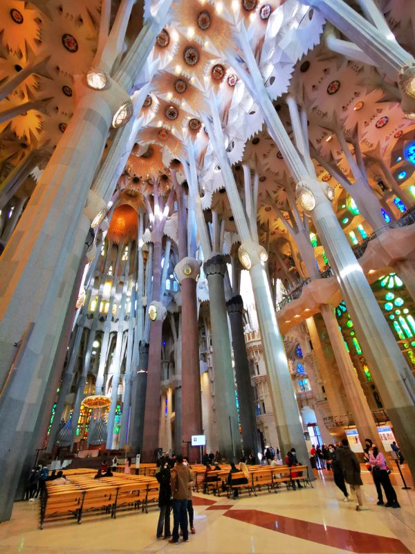 Tree-Like Columns Stretch up to the Ceiling Inside La Sagrada Familia