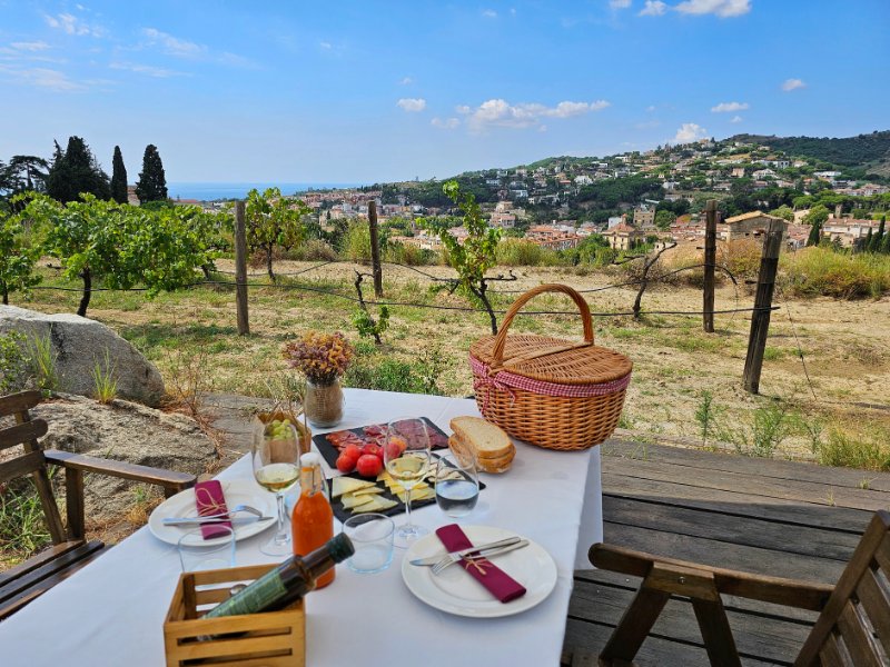 A Romantic Picnic at a Winery in Alella