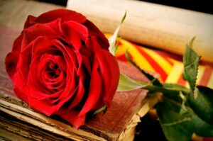 Sant Jordi - Rose and Book with the Catalan Flag: Romantic Things to Do in Barcelona for Couples