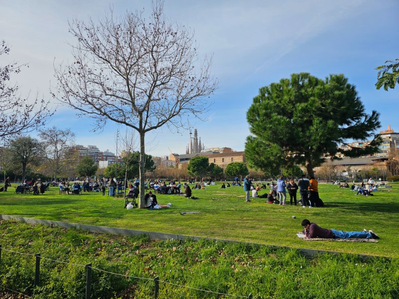 Enjoying the Sunshine in a Park in Barcelona on Sunday