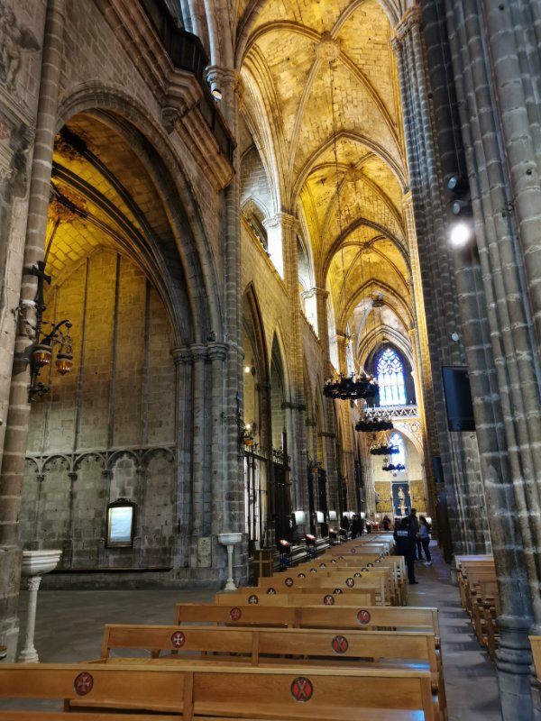 Inside the Gothic Cathedral in Barcelona