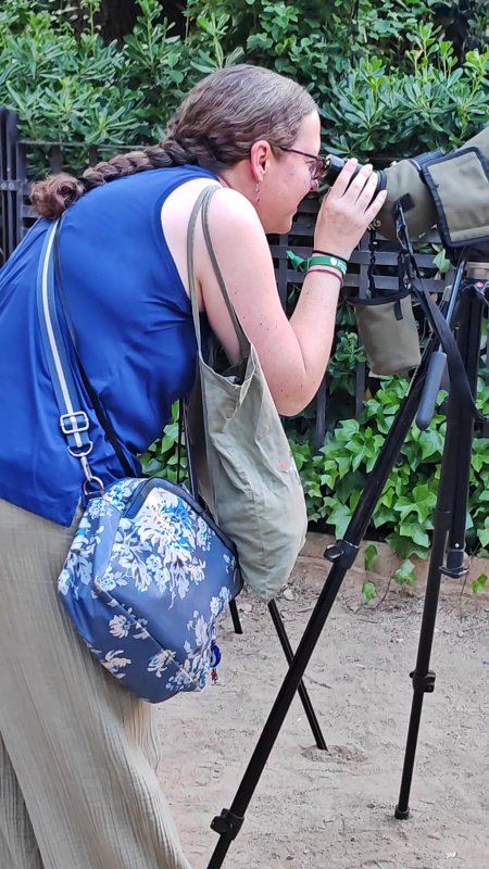 Me spotting the Falcons at the Sagrada Familia