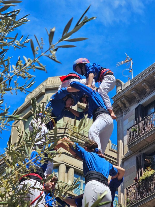 The Pom de Dalt of the Castellers of Espluges